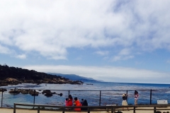 pebble-beach-view