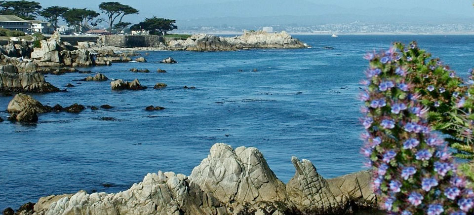 home-fader-img-4 monterey bay lovers point pacific grove ocean scene