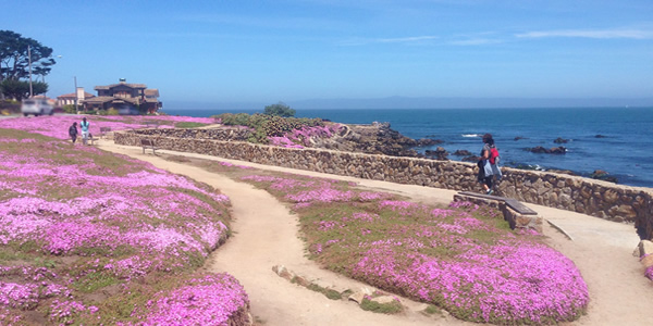 monterey bay lovers point pacific grove ocean scene