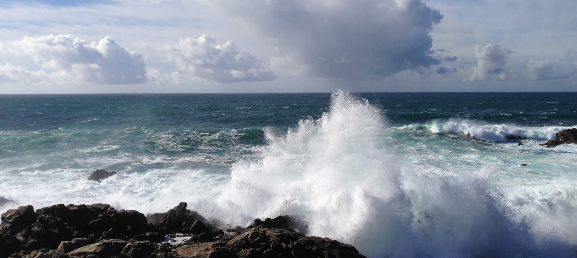 pacific grove on monterey bay ocean scene