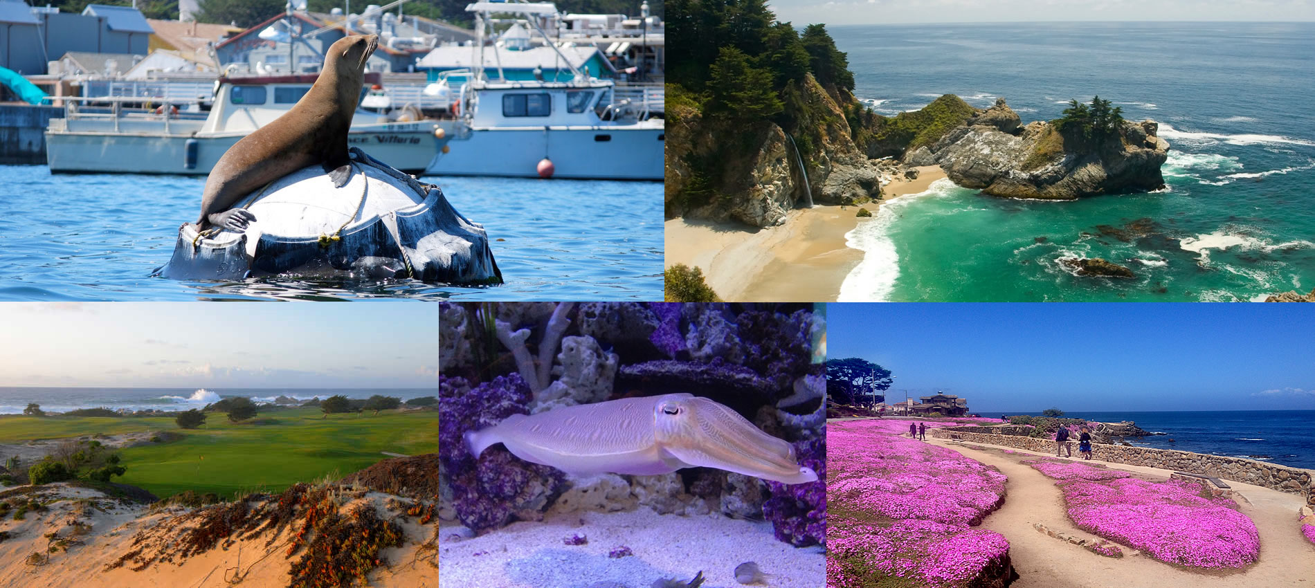 things to do on the monterey peninsula