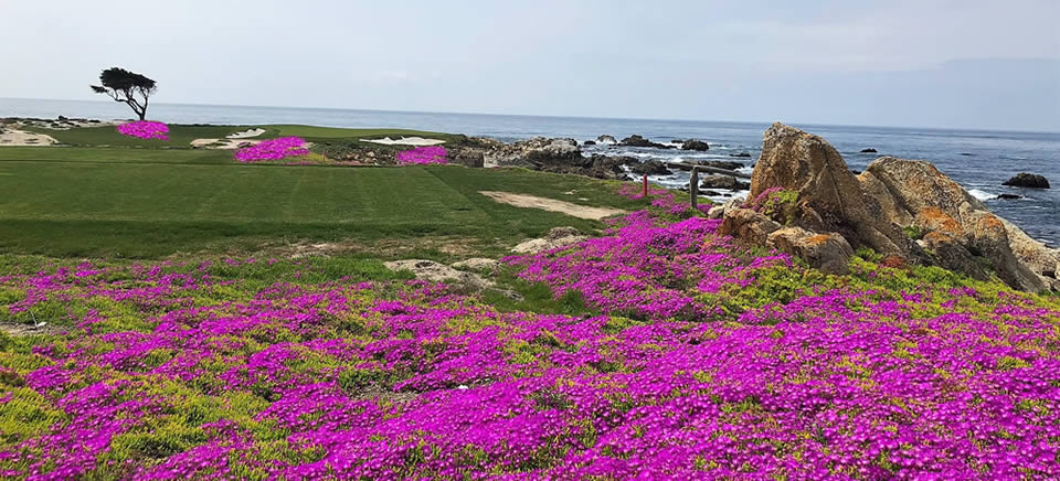 monterey bay pebble beach golf course